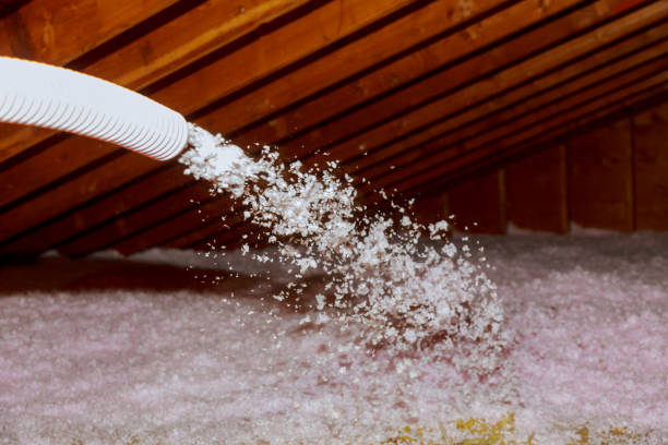 Best DIY Insulation Kits and Guidance in Farmington, MN