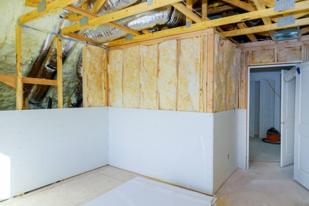 Best Eco-Friendly Insulation in Farmington, MN